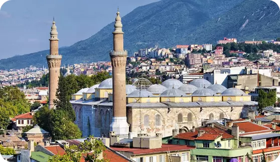Bursa