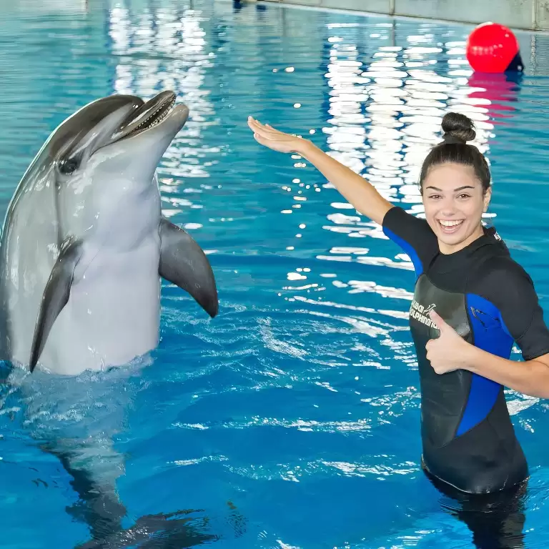 Swimming With Dolphins - Dubai Dolphinarium