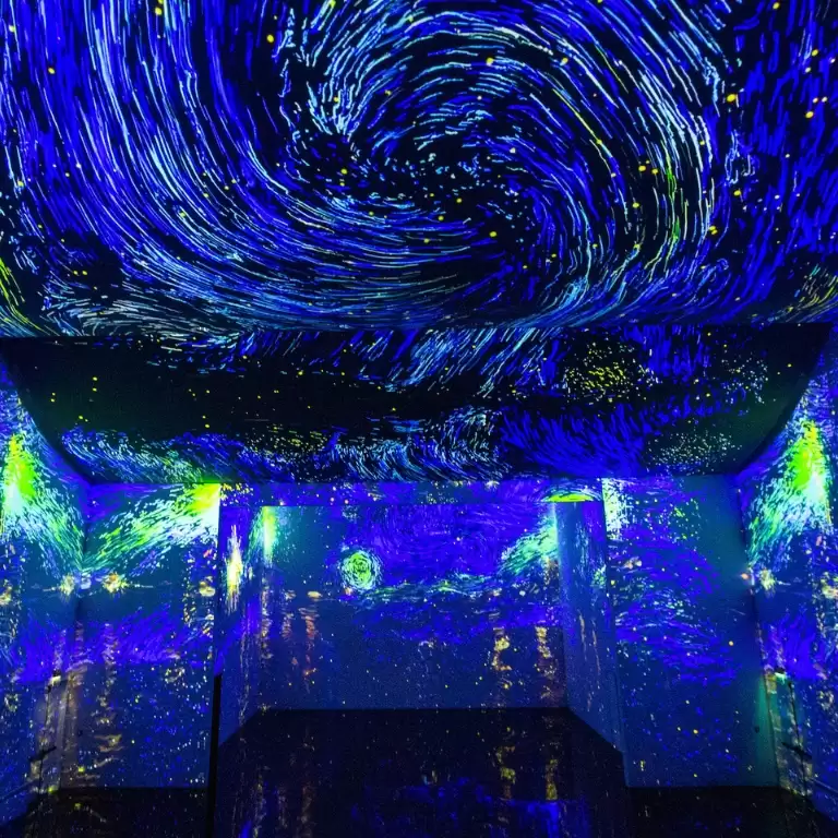 ToDA - Being Van Gogh