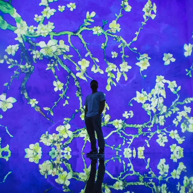 ToDA - Van Gogh X Japan in Dubai