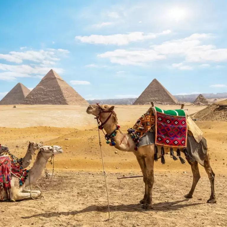 Cairo: Fun around the Giza Pyramids & Khan El Khalili Old Market