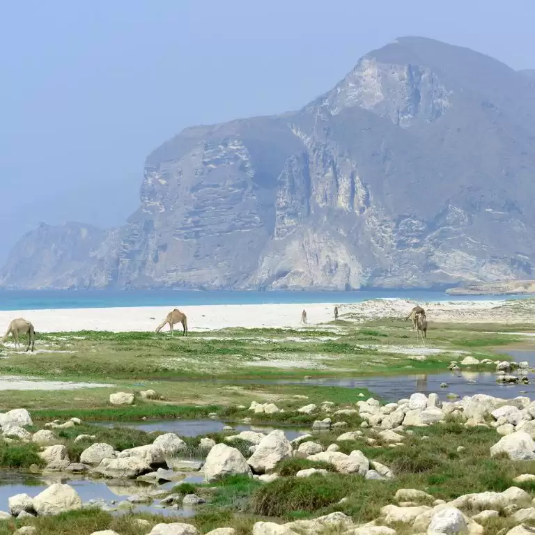 Salalah: Full-Day Beach Escapade Al Mughsail Beach & Fazayah Beach