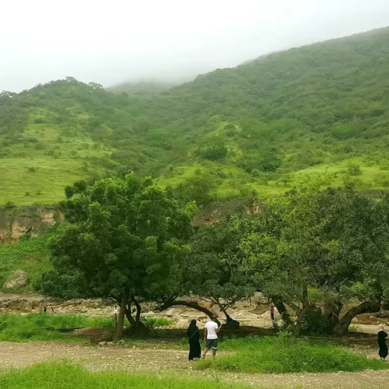 Salalah: Private Full-Day Jebel Safari Tour East