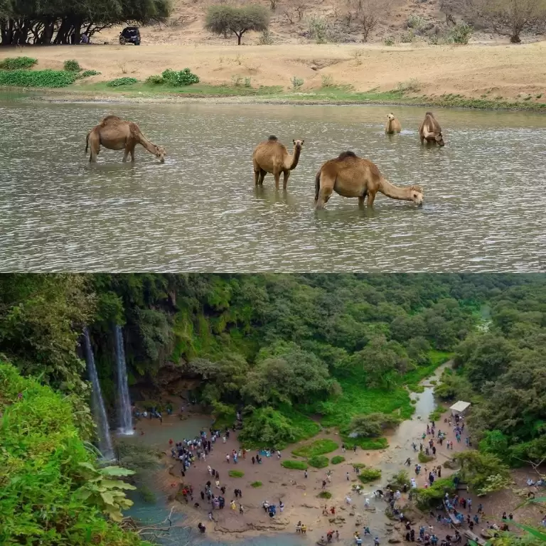 Salalah: Private Half Day East of Dhofar