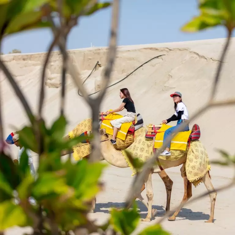 Day Pass at Al Majles Resort with Lunch/Dinner