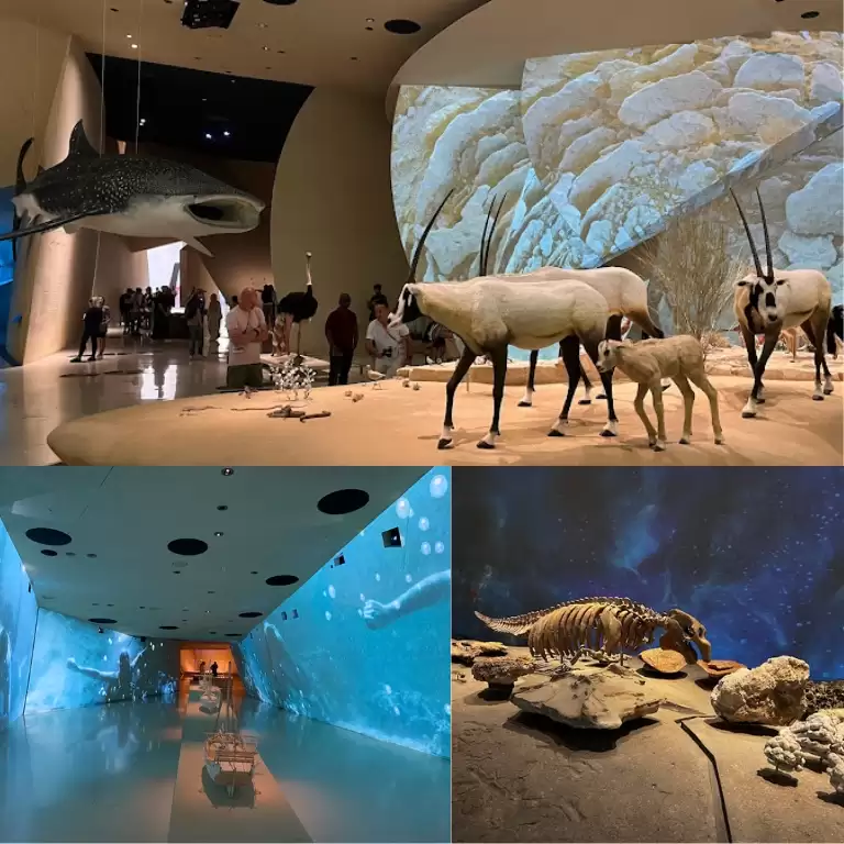 Doha Museums Tour