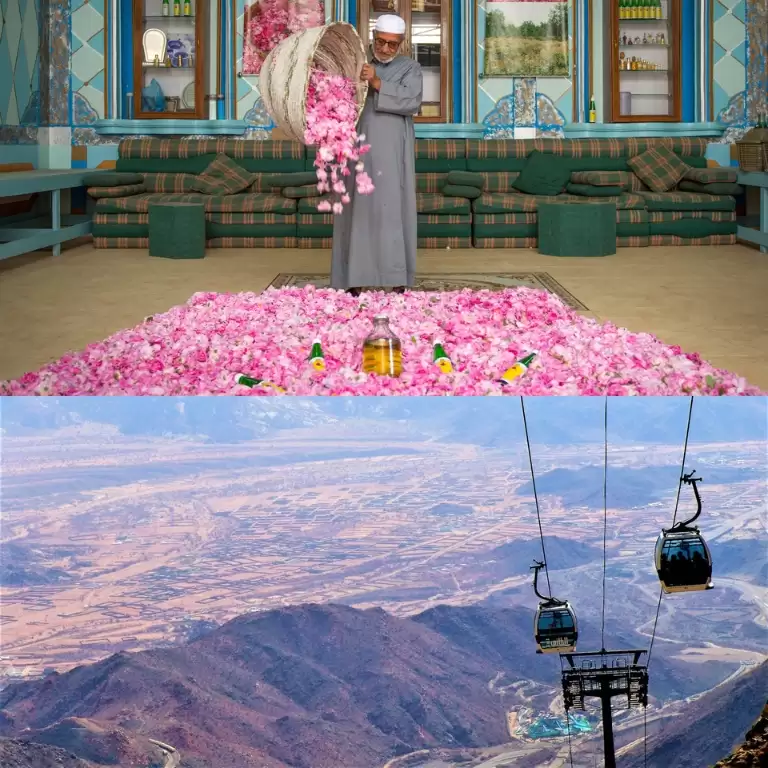 Full Day Taif Tour With Lunch from Jeddah
