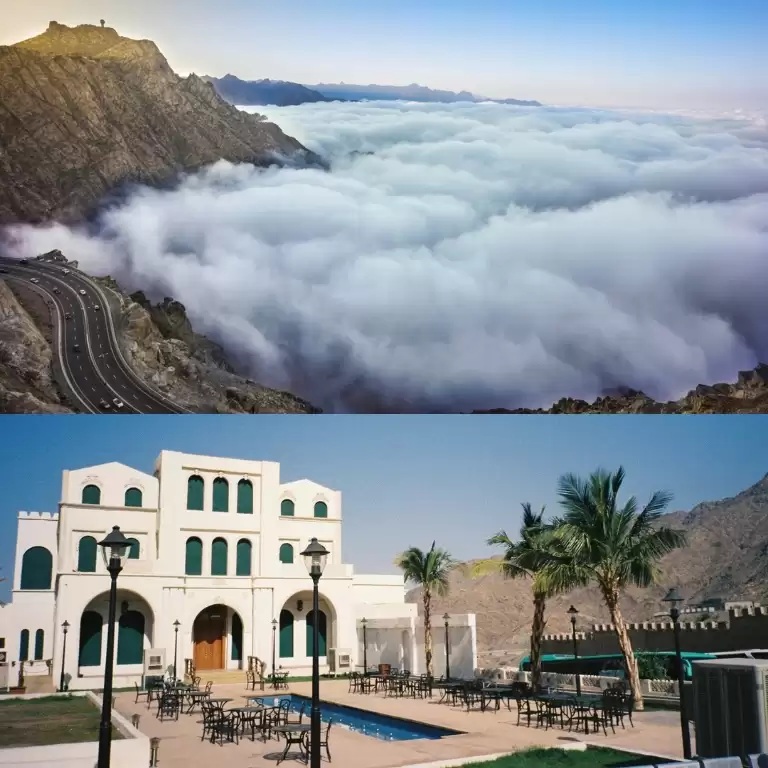 Full Day Taif Tour With Lunch from Jeddah