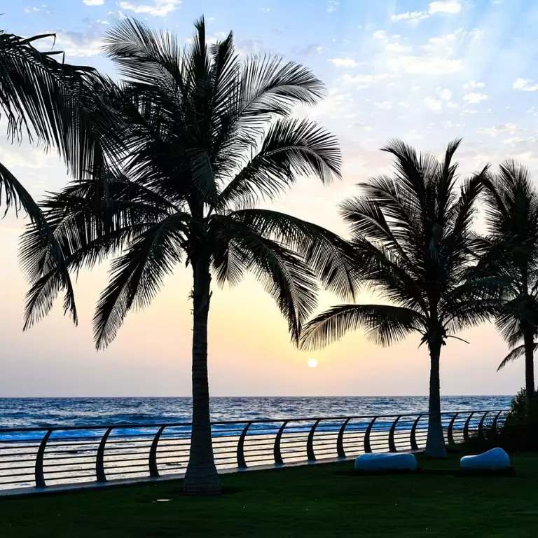 Half Day Jeddah Traditional City Tour