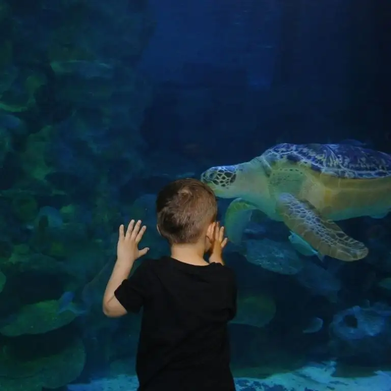 Istanbul Sea Life Aquarium