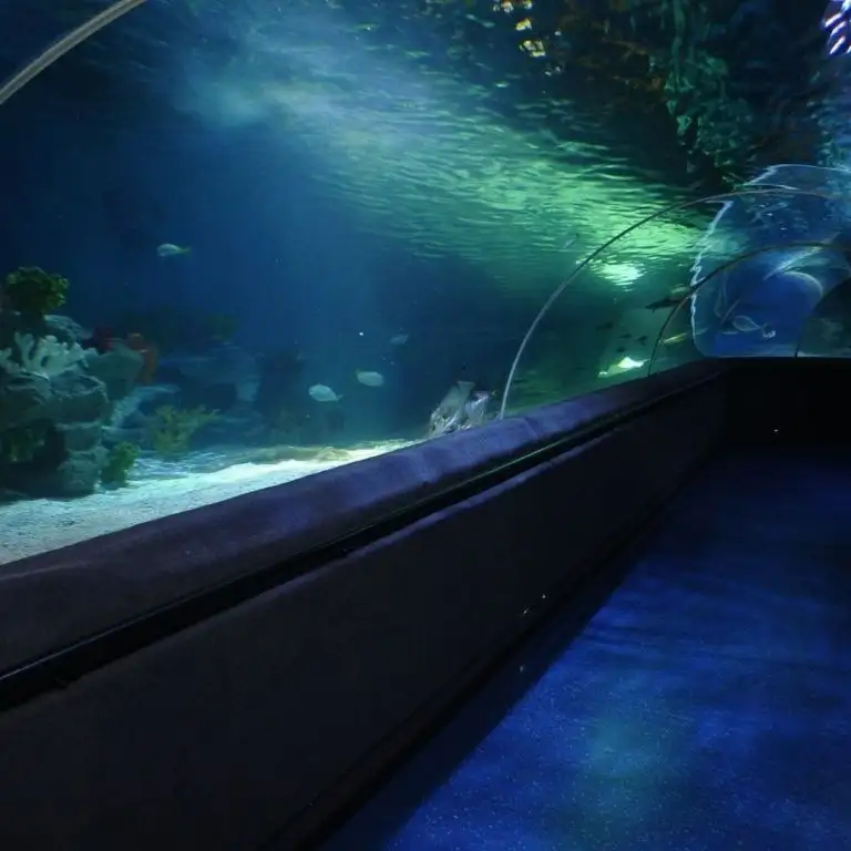 Istanbul Sea Life Aquarium
