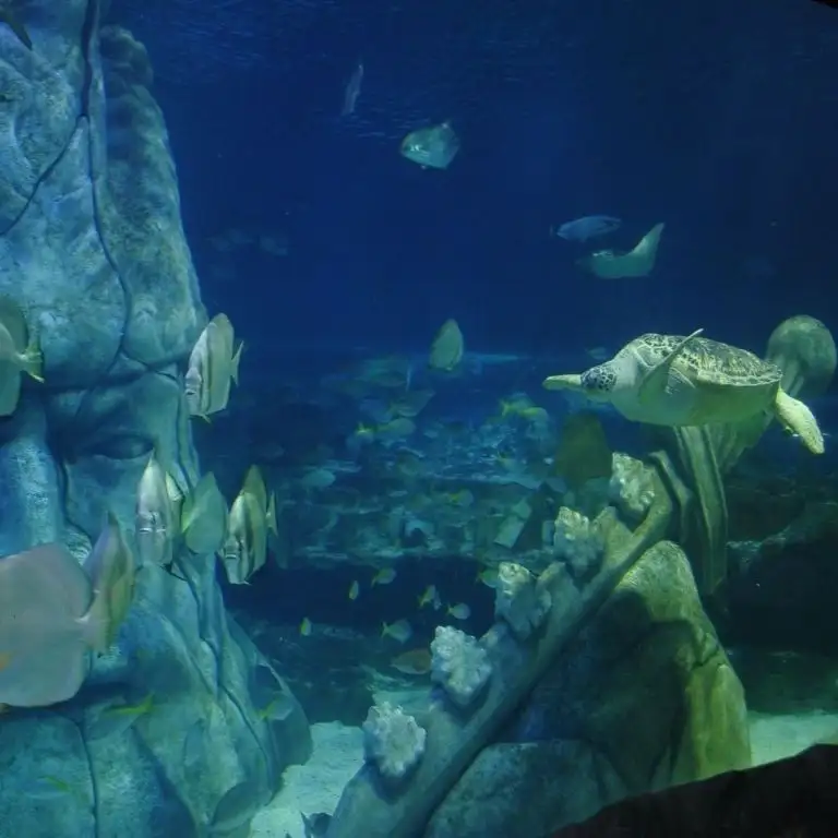 Istanbul Sea Life Aquarium