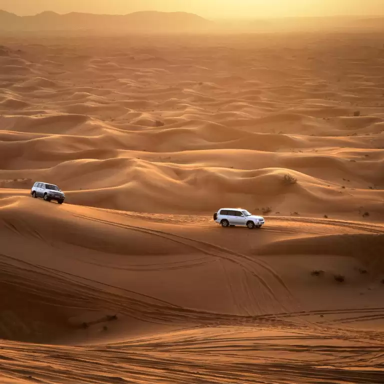 Abu Dhabi Sunset Desert Safari with BBQ, Camel Ride & Sandboarding