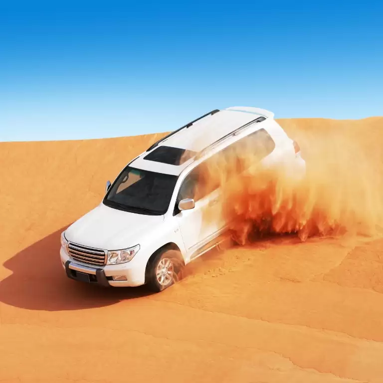 Abu Dhabi Sunset Desert Safari with BBQ, Camel Ride & Sandboarding