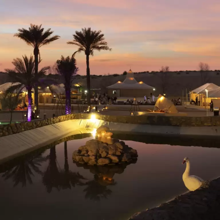 Caravanserai Desert Dinner With Optional Transfers