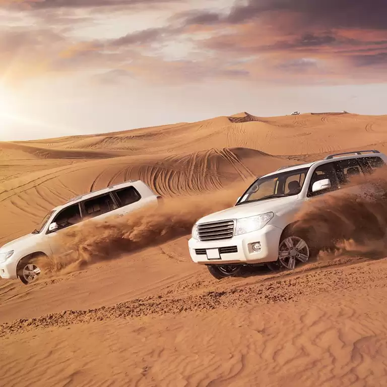 Combo: Morning Desert Safari with Dune Bashing + Marina Sunset Yacht Tour with BBQ