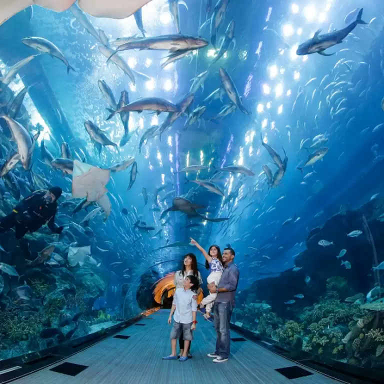 Dubai Aquarium & Underwater Zoo - Explorer Experience