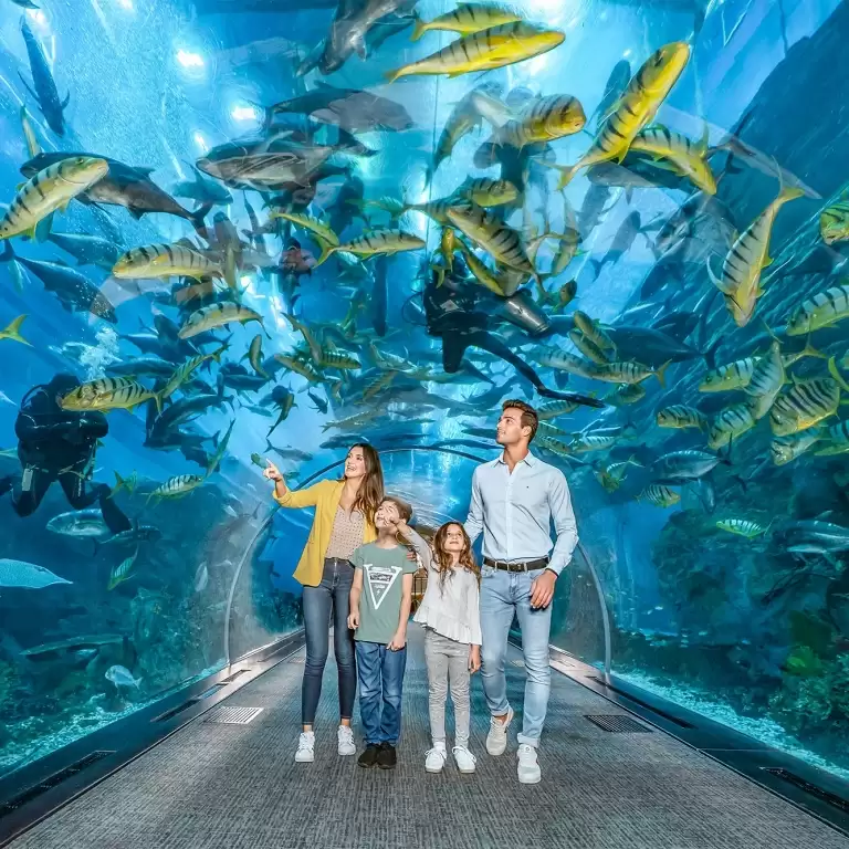 Dubai Aquarium & Underwater Zoo - Explorer Experience