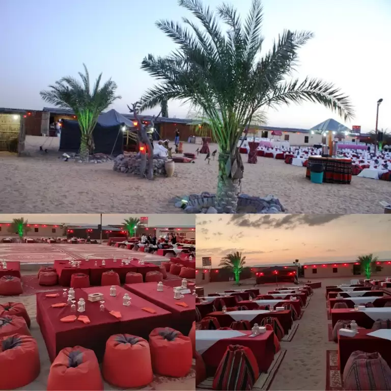 Dubai Sunset Safari Delight with BBQ dinner and camel ride