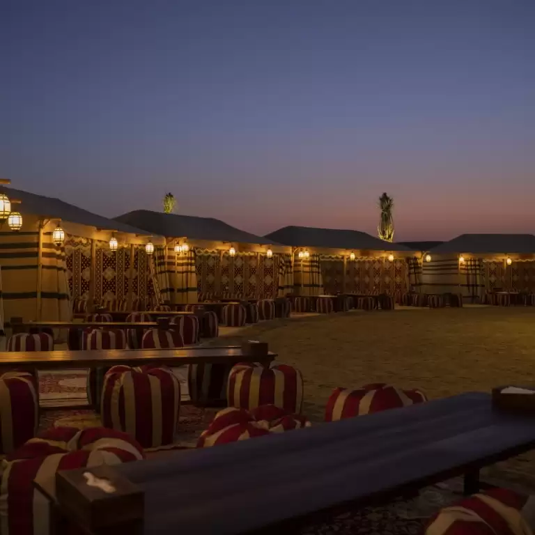 Evening Luxury Heritage Safari at Al Marmoom Bedouin Experience