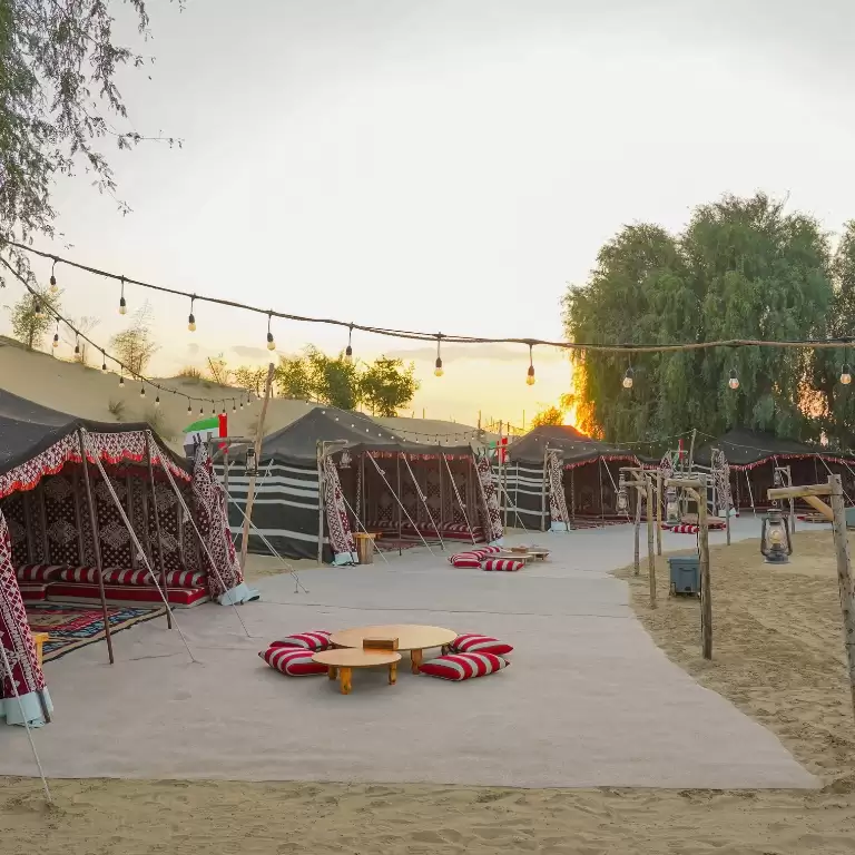 Evening Luxury Heritage Safari at Al Marmoom Bedouin Experience