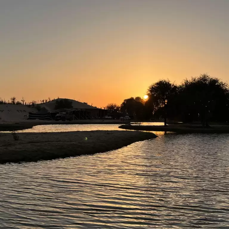 Evening Luxury Heritage Safari at Al Marmoom Bedouin Experience