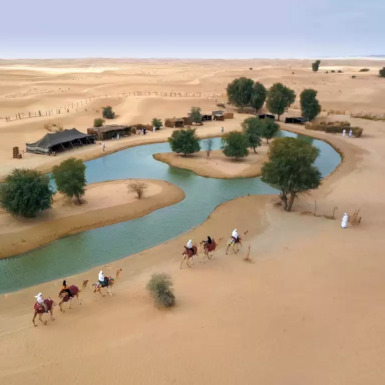 Evening Luxury Heritage Safari at Al Marmoom Bedouin Experience