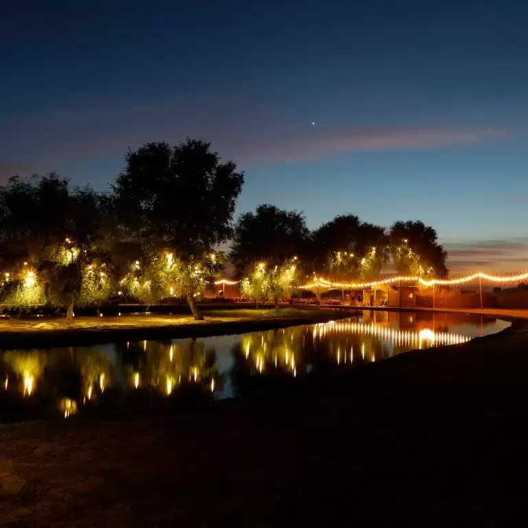 Evening Luxury Heritage Safari at Al Marmoom Bedouin Experience