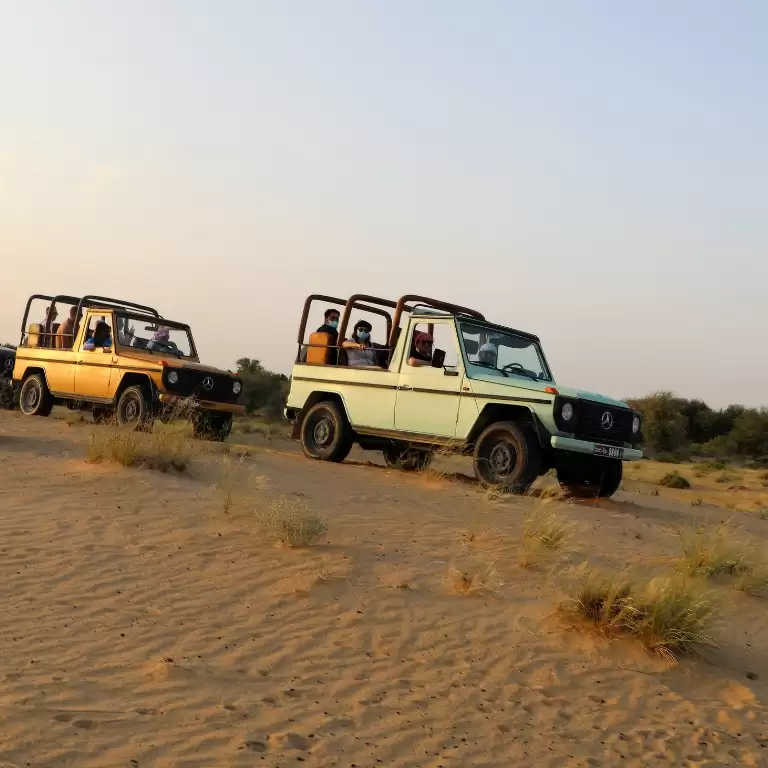 Evening Luxury Heritage Safari at Al Marmoom Bedouin Experience