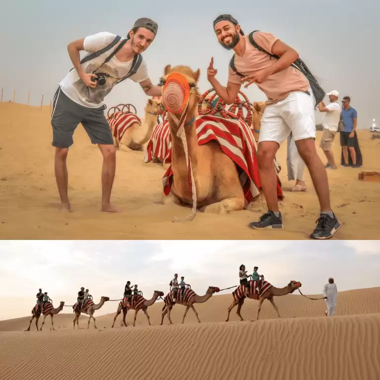 Morning Desert Safari Dubai with Dune Bashing, Sand Boarding & Camel Ride