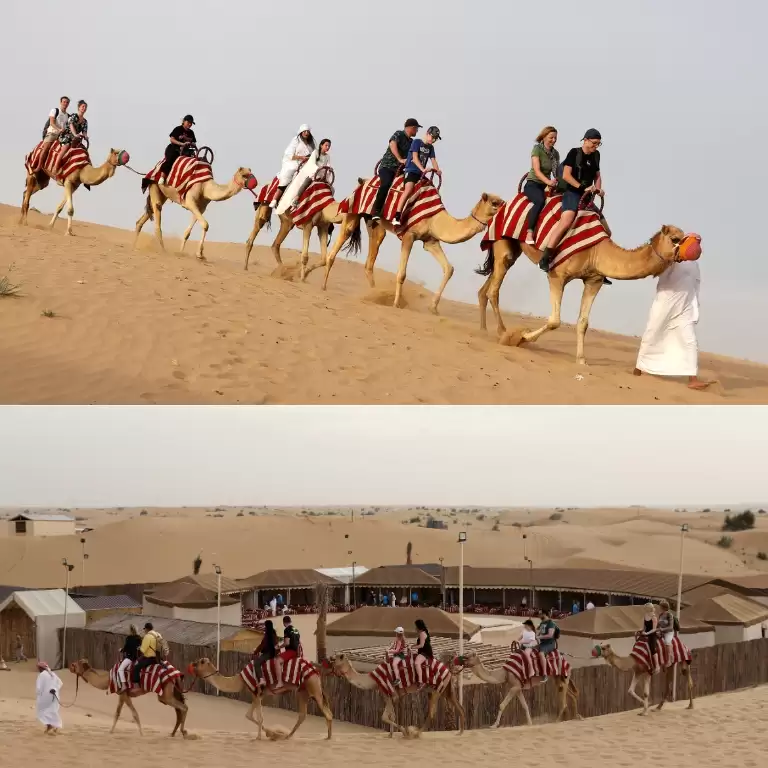 Premium Red Dunes Safari with Camel Ride & 3 Cuisines at Al Khayma Camp