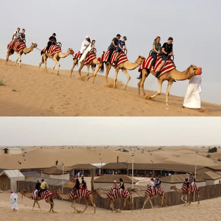 Premium Red Dunes Safari with Camel Ride & International buffet dinner at Al Khayma Camp