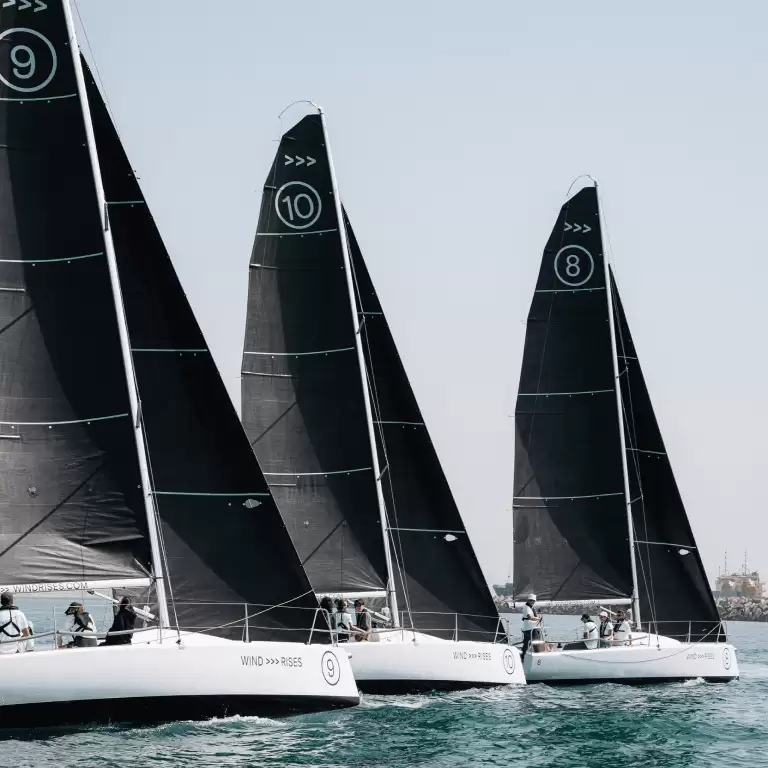 Wind Rises Sailing Rides & Races