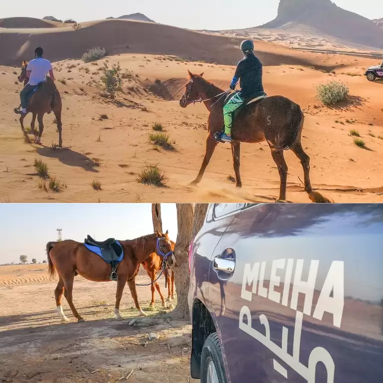 Horse Back Riding Desert Hack