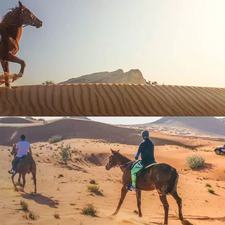 Horse Back Riding Desert Hack