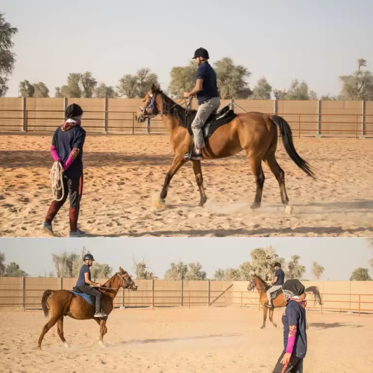 Horse Riding Training Course One Session
