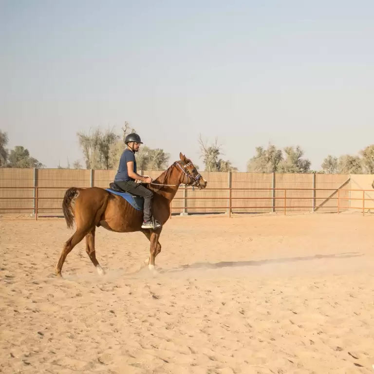Horse Riding Training Course One Session
