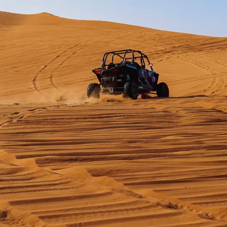 Mleiha Landscapes Tour in Dune Buggy