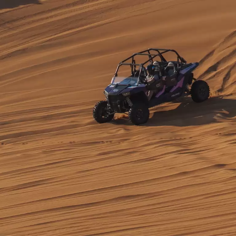 Mleiha Landscapes Tour in Dune Buggy
