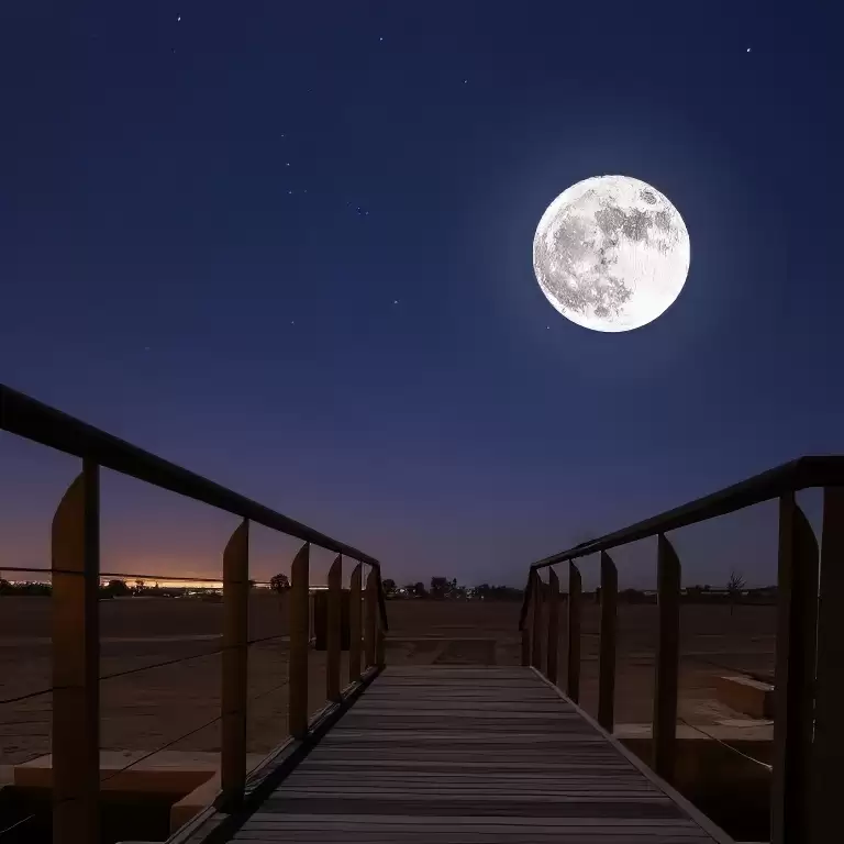 Mleiha Stargazing