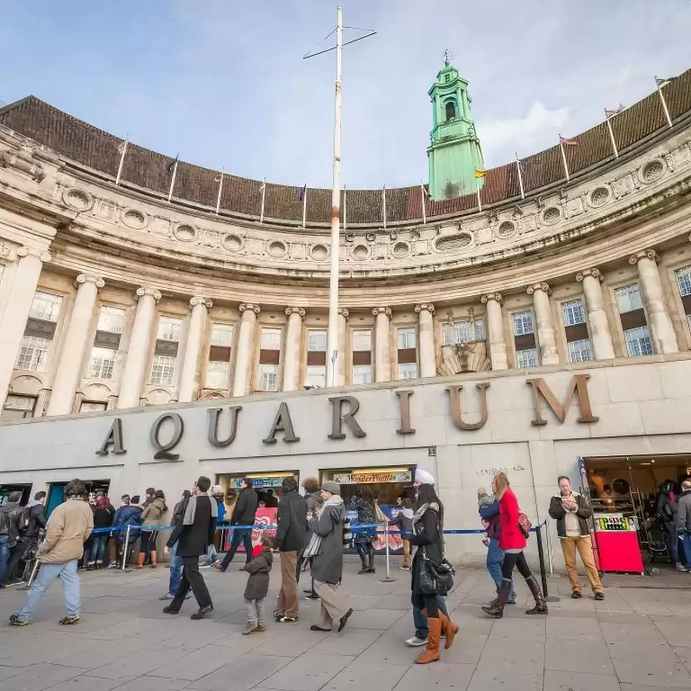 SEA LIFE London Aquarium - Same day Ticket