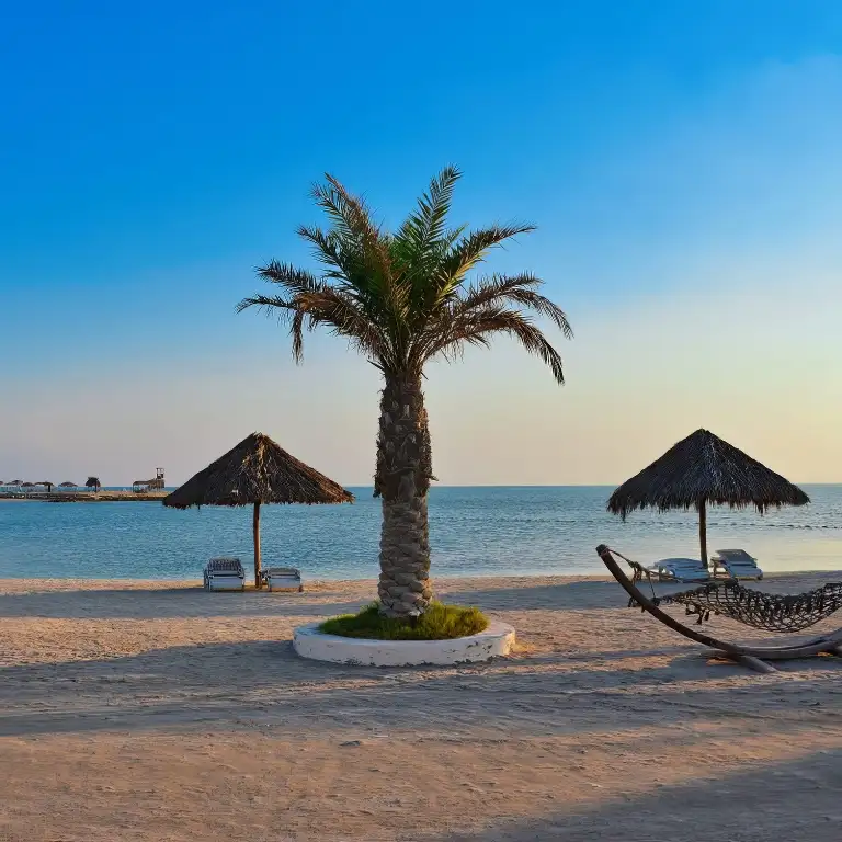Boat Trip to Al Dar Island