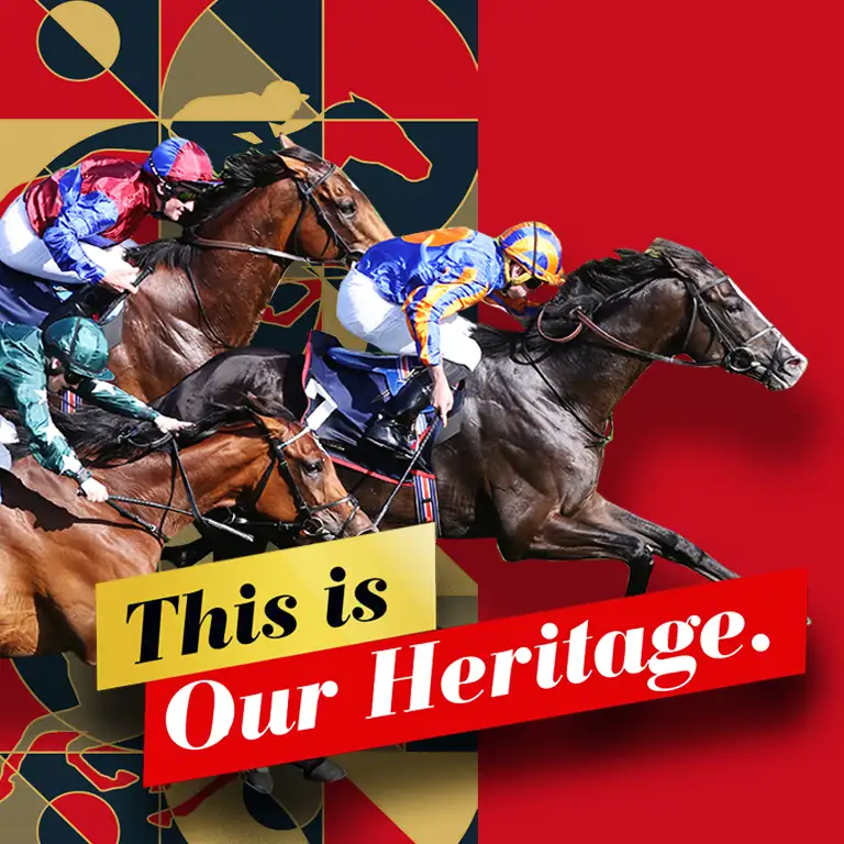 Horseracing at Rashid Equestrian & Horseracing Club