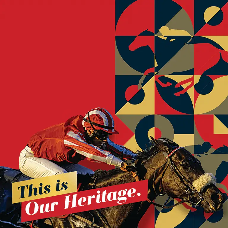 Horseracing at Rashid Equestrian & Horseracing Club