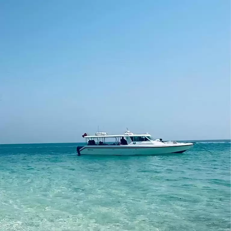 Jarada Boat Trip