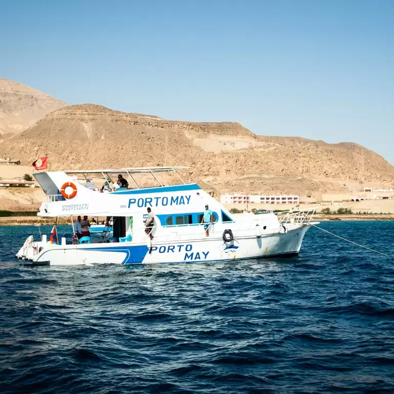 Ain Sokhna Full-day Snorkeling Cruise and Submarine with Private Return Transfer From Cairo