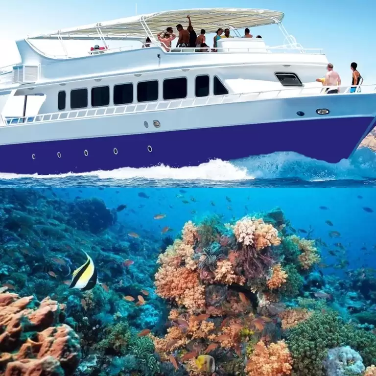 Half-day Snorkeling Boat trip with lunch and drinks from Sharm El Sheikh