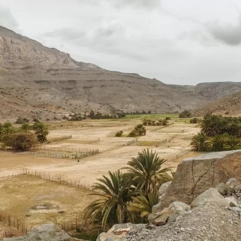 Half-Day Mountain Safari to Jabel Harim