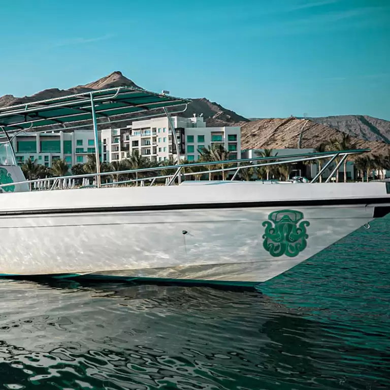 Exclusive Boating Experience - Dolphins Watching