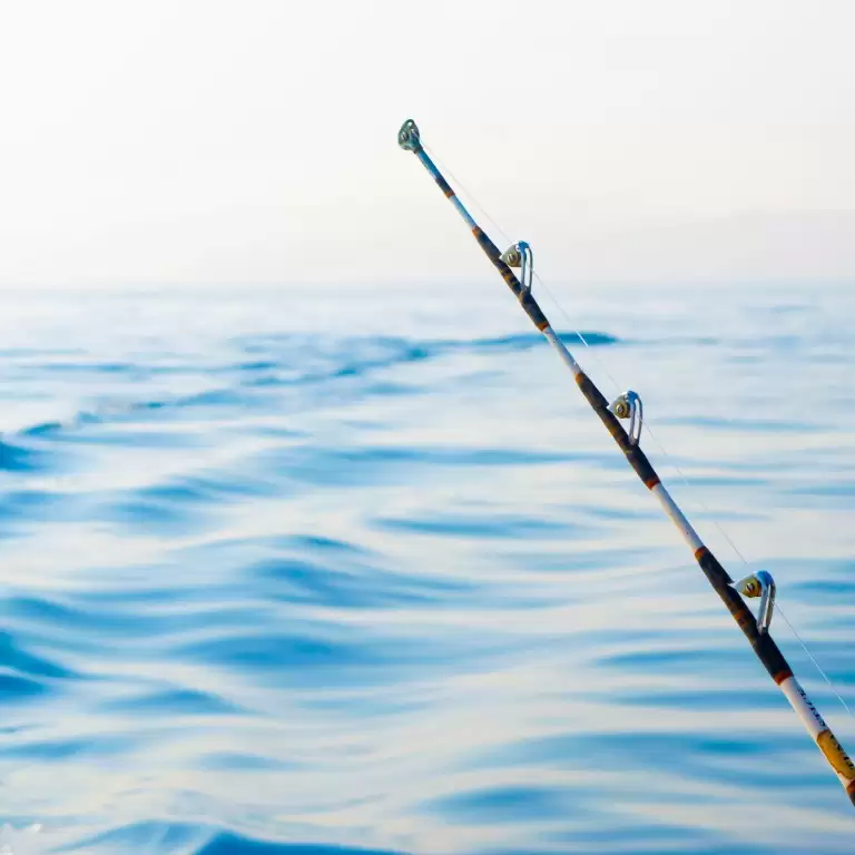 Private fishing boat tour